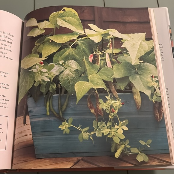 📚🌿 Crops in Pots — Reader’s Digest Hardcover Gardening Guide by Bob Purnell - Picture 9 of 15